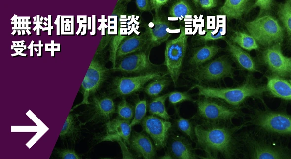 無料個別相談・ご説明 受付中